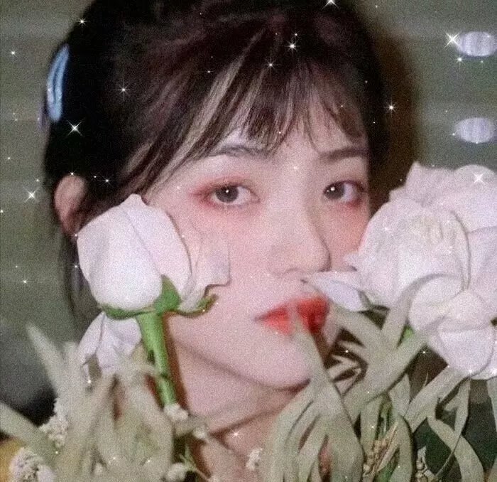马戏春心